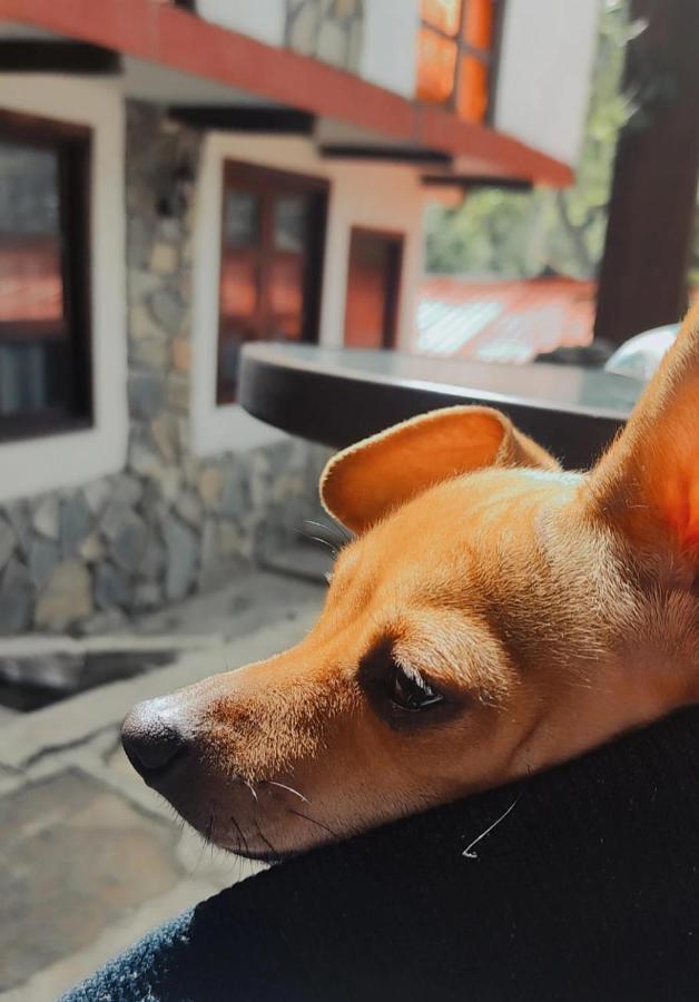 Finca Quinta Los Cedros ヒリトゥラ エクステリア 写真